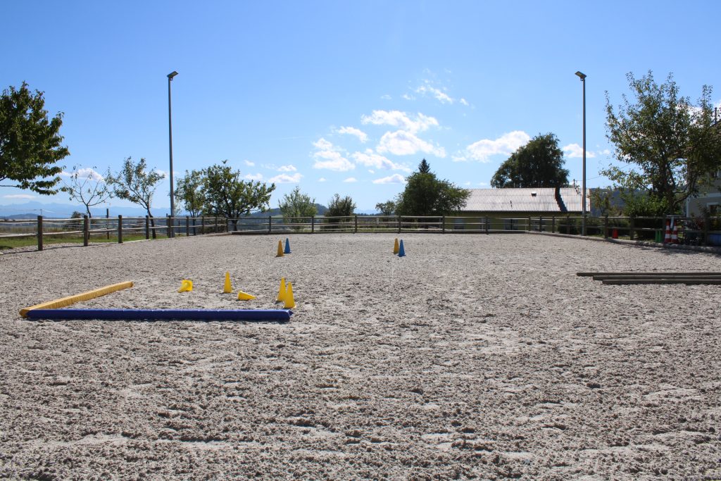 sonniger Reitplatz mit Stangen und bunte Pylonen