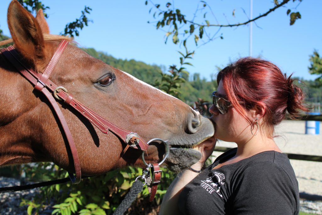 Braunes Pferd gibt Kuss, Kunststück mit Tochter der Ranch