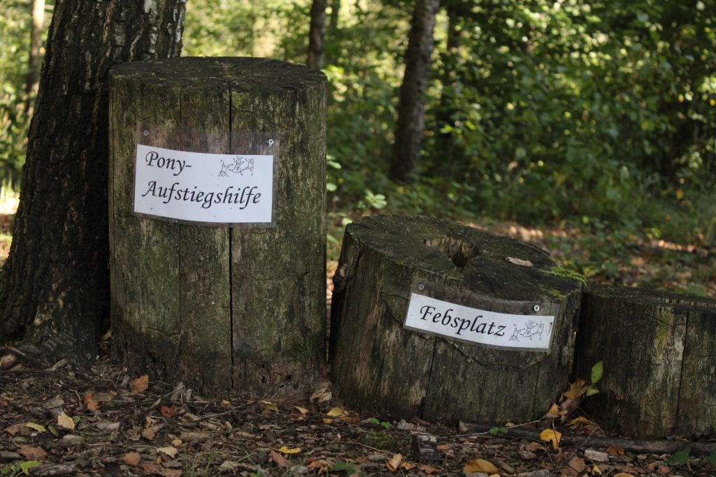 Zwei Baumstumpfe im Wald nebeneinander beschriftet mit Pony-Aufstiegshilfe und Febsplatz