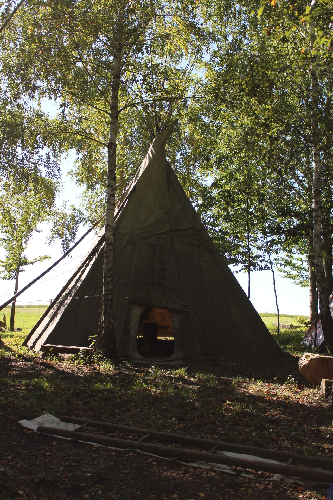 Tipi im Wald mit Sonnenlicht von hinten